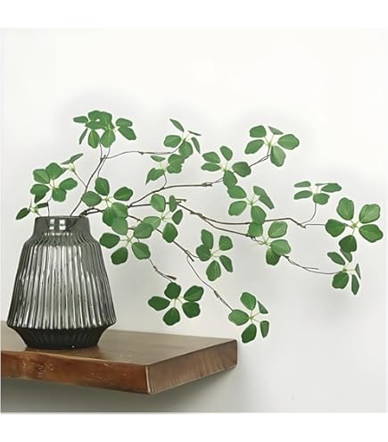 Amazon｜アセビ 枝もの 枝 3本セット 馬酔木 インテリア グリーン 生花